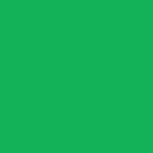 Hintergrundkarton 0,7x10m Chroma Green