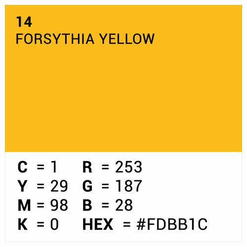 Hintergrundkarton 1,35x11m Forsythia Yellow